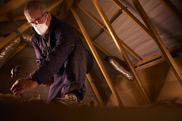 Best Insulation Maintenance and Repair in Pine Mountain Lake, CA